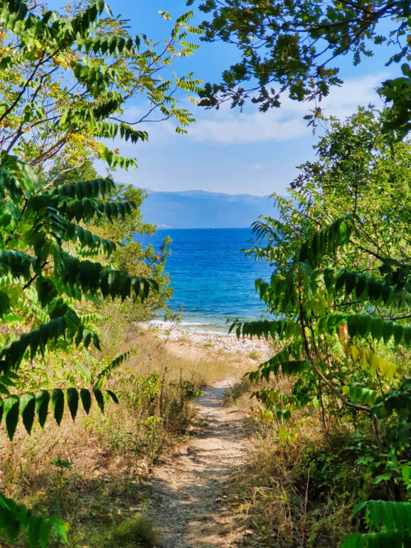 Trees along the path to a hidden beach close to Novi Vinodolski