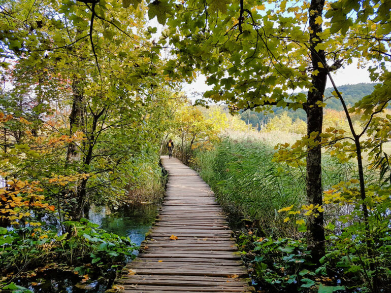 The type of boardwalks you’ll walk on in the upper lakes