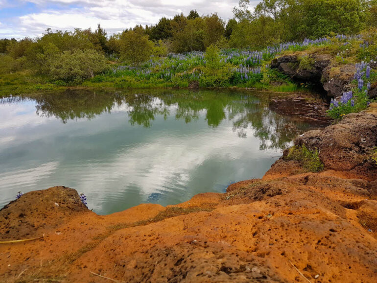 Small lake at Elliðaárdalur park